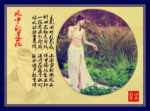 倉央嘉措關(guān)于樹(shù)的詩(shī)句