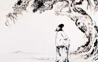 蘇軾的關(guān)于花的詩句