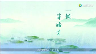 關于節(jié)氣的諺語詩句