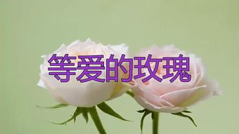 關于等愛的詩句
