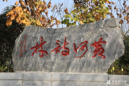 初一.關(guān)于黃河的詩句