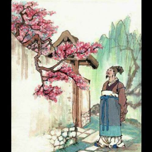 游園,古詩,詩句,不值