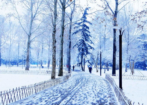 描寫(xiě)雪景抒情的古詩(shī)句
