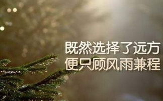 關(guān)于貧困使人奮斗的詩句