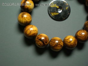 關(guān)于一根樹杈的詩(shī)句