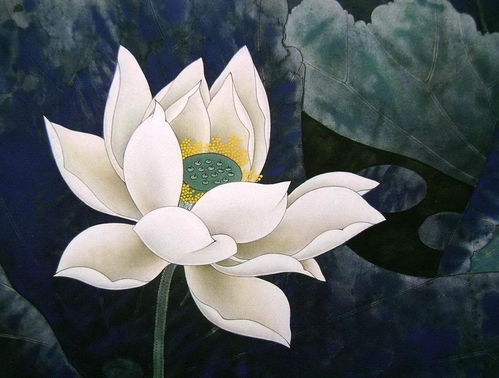 關(guān)于贊美荷花的詩句古詩詞