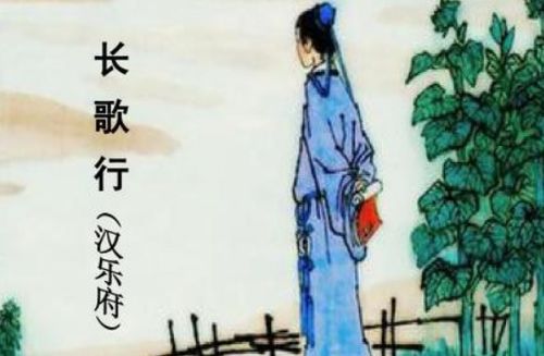 不知道珍惜的古詩(shī)句