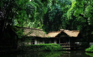 杜甫在成都草堂關(guān)于竹子的詩(shī)句