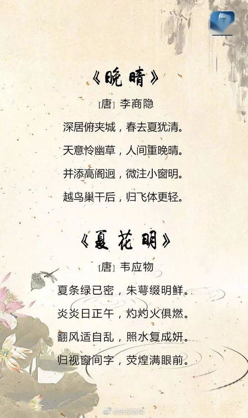 詩句,小孩,夏天