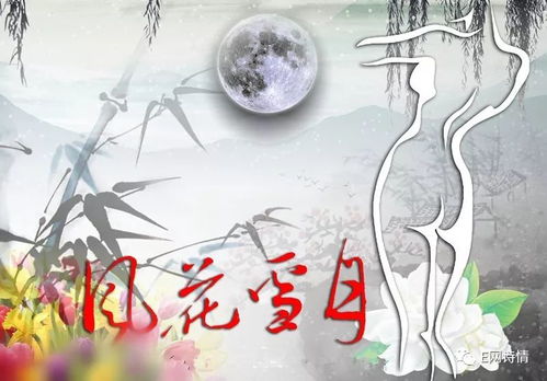 古詩(shī)中的風(fēng)花雪月詩(shī)句加注釋評(píng)點(diǎn)
