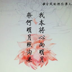 詩(shī)句,時(shí)間