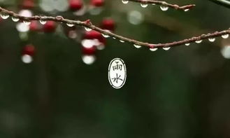 關(guān)于雨的詩句分喜雨和愁雨