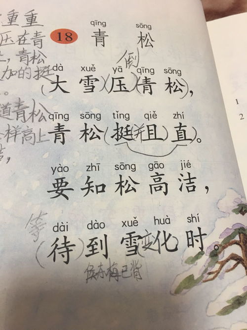 關(guān)于贊頌青松的詩(shī)句