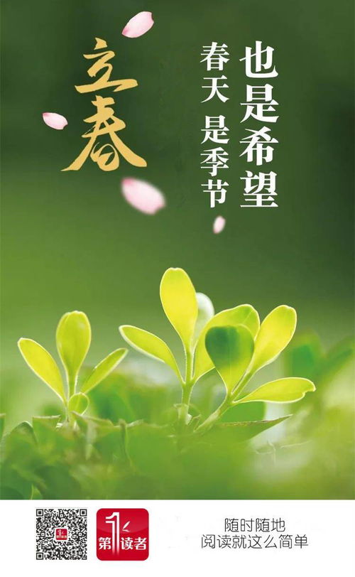 贊美春天的古詩(shī)句,描寫(xiě)春天贊美春天的古詩(shī),描寫(xiě)春天贊美春天的古詩(shī)有哪些