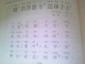 寫(xiě)關(guān)于夏季景物的詩(shī)句有哪些