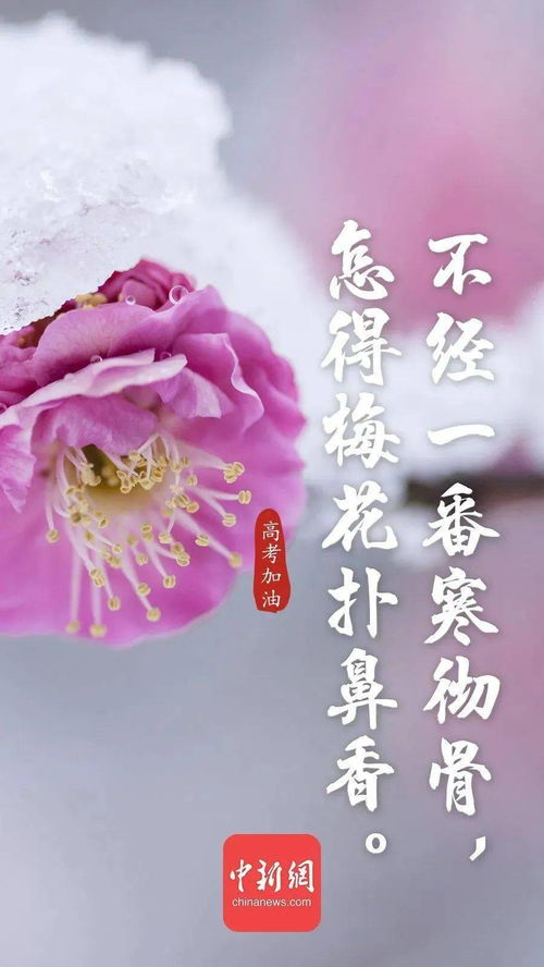 詩句,結(jié)婚,朋友