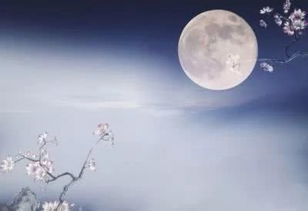 關(guān)于月夜的古詩(shī)詩(shī)句