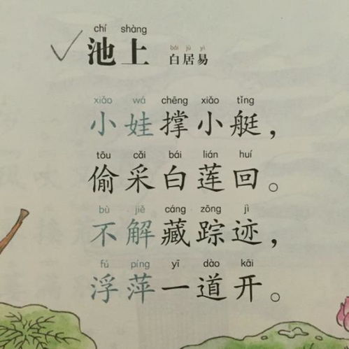 詩句,詩人,情感