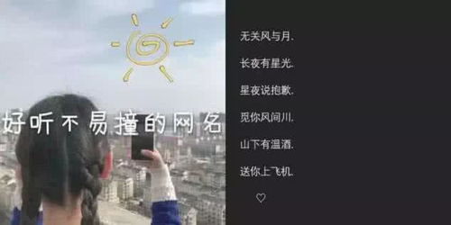 好聽的古詩情侶網名,好聽有意境的古詩句情侶網名,好聽的古詩網名男