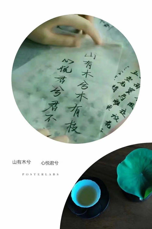 詩句,緣淺緣散