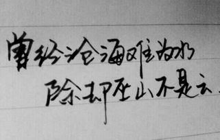 描述愛情的詩句唯美,詩經(jīng)描述愛情的詩句,描述愛情長(zhǎng)久的詩句