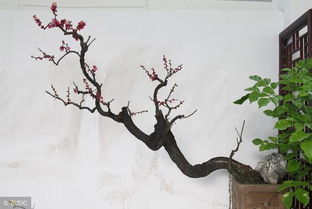 秋天關(guān)于水的詩(shī)句古詩(shī)詞