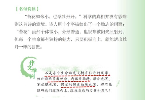 關(guān)于個(gè)人感情問題的詩句
