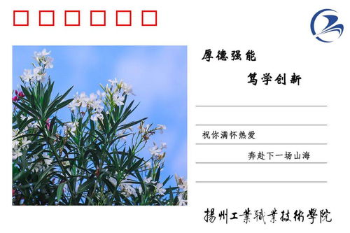 社會(huì)生活,詩(shī)句