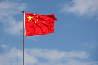 關于旗子的詩句