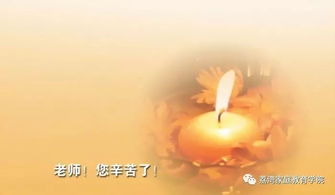 老師情誼的詩句古詩