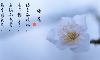 含有啟示的古詩(shī)句