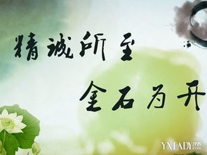 關(guān)于老師的名言和詩句有哪些,關(guān)于老師的名言和詩句還有文章,老師對(duì)學(xué)生的期望名言或詩句