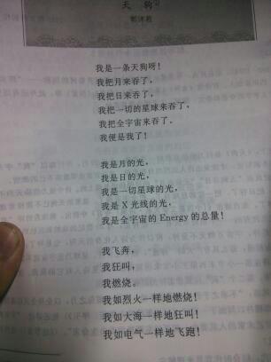 關(guān)于描寫國家強的詩句