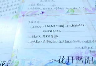 寫兩句關(guān)于寒假的詩(shī)句