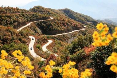 關(guān)于農村公路的詩(shī)句