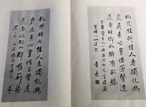 關(guān)于鎮(zhèn)店之寶的詩句