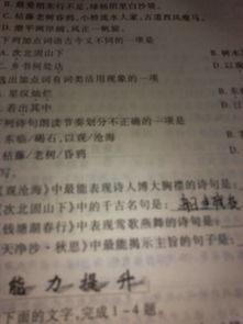 關(guān)于寬廣胸懷的詩(shī)句