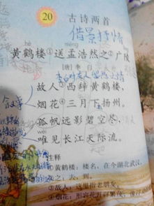 春天的詩(shī)句古詩(shī)大全,關(guān)于描寫春天的詩(shī)句古詩(shī)大全,關(guān)于春天梅花的詩(shī)句古詩(shī)大全