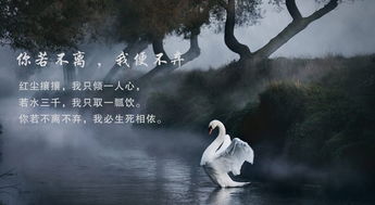 生死相依的愛(ài)情古詩(shī)句