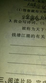 所有關(guān)于潮的詩(shī)句