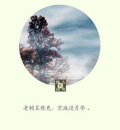 贊美秋天的詩(shī)句古詩(shī),關(guān)于描寫(xiě)秋天的詩(shī)句古詩(shī),秋天的詩(shī)句唯美古詩(shī)