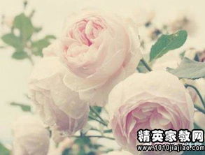 關于珍惜朋友的英文詩句
