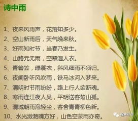 小學(xué)畢業(yè)給同學(xué)的贈言古詩,小學(xué)畢業(yè)古詩贈言,小學(xué)畢業(yè)必背古詩