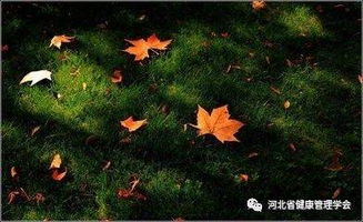 關(guān)愛(ài)老人的古詩(shī)句,關(guān)愛(ài)他人的古詩(shī)句,關(guān)于關(guān)愛(ài)的古詩(shī)句