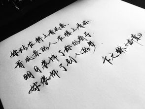 關于個人品質(zhì)的詩句