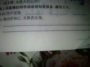 關于真情和套路的詩句