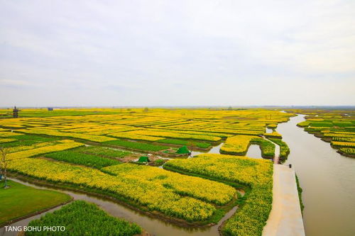 關(guān)于陽(yáng)春三月的詩(shī)句