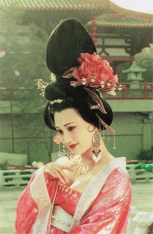 關(guān)于美麗形象的詩句