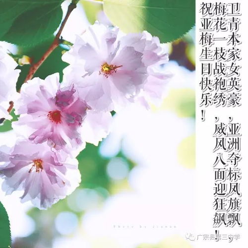 送給老師的祝福語古詩詩句元宵節(jié),送給語文老師的古詩詞,結(jié)婚祝福語古詩詩句