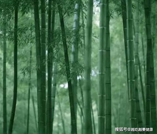 舊人,詩(shī)句,新人
